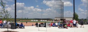 Photo: Backstop netting at Chaplain's Field